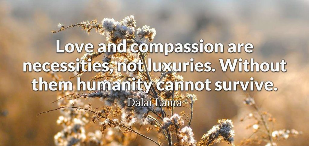“Love and compassion are necessities, not luxuries. Without them, humanity cannot survive” – Dalai Lama XIV, The Art of Happiness